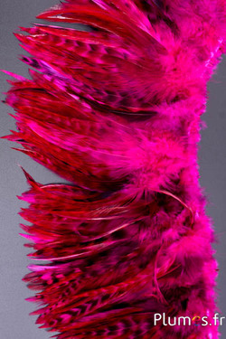 Frange coq chin roux - long. plumes 10-15 cm - fuchsia